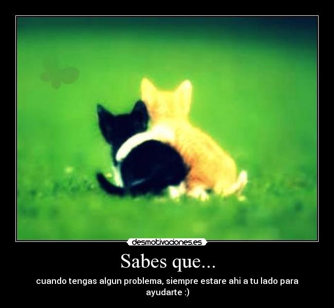 Sabes que... -