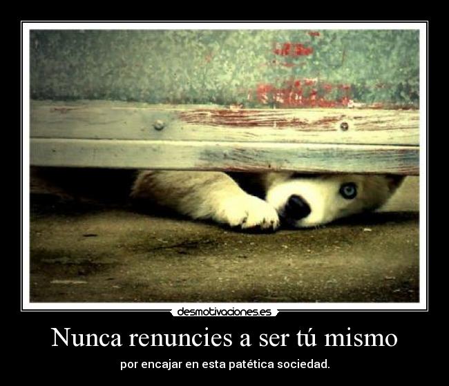 Nunca renuncies a ser tú mismo -