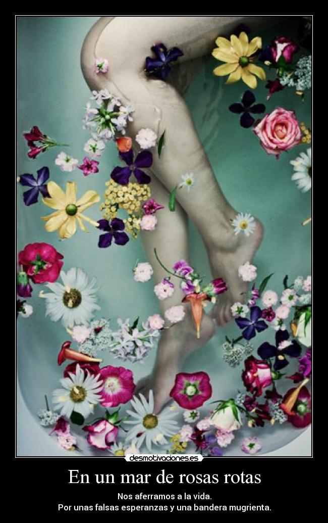 carteles janette kagamine desmotivaciones