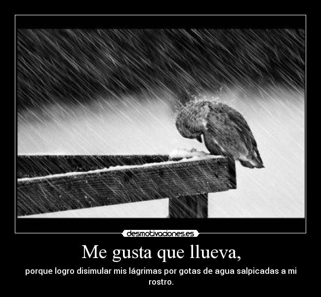 Me gusta que llueva, - porque logro disimular mis lágrimas por gotas de agua salpicadas a mi rostro.