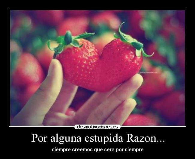 Por alguna estupida Razon... - siempre creemos que sera por siempre
