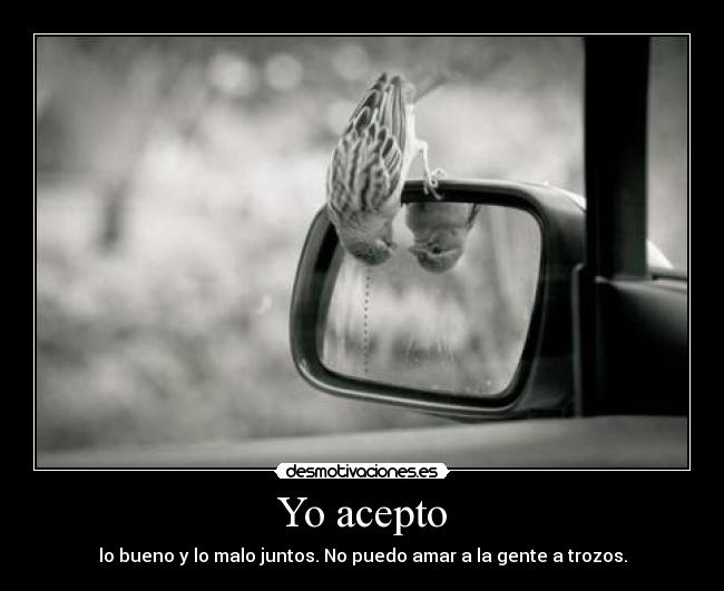 Yo acepto - lo bueno y lo malo juntos. No puedo amar a la gente a trozos.