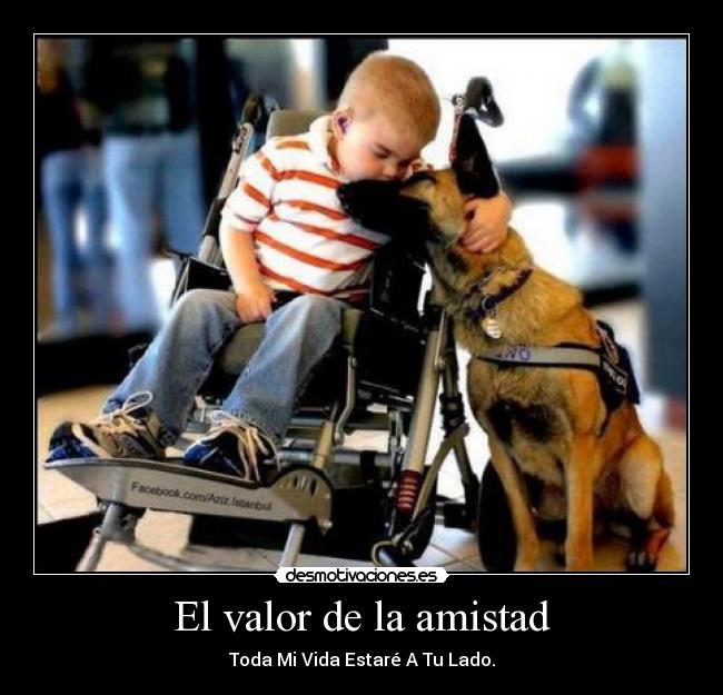 carteles amistad valor amistad desmotivaciones