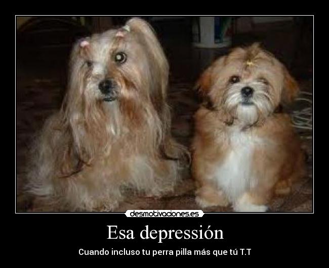 Esa depressión - Cuando incluso tu perra pilla más que tú T.T