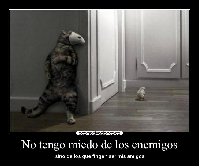 No tengo miedo de los enemigos -