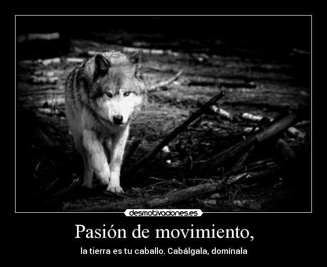 carteles lobo quiennosabes miguel hernandez pasion movimiento desmotivaciones