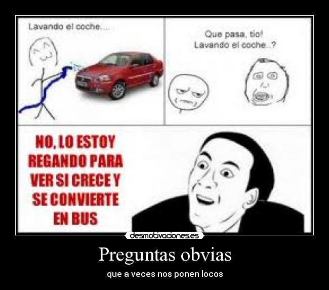 Preguntas obvias - que a veces nos ponen locos