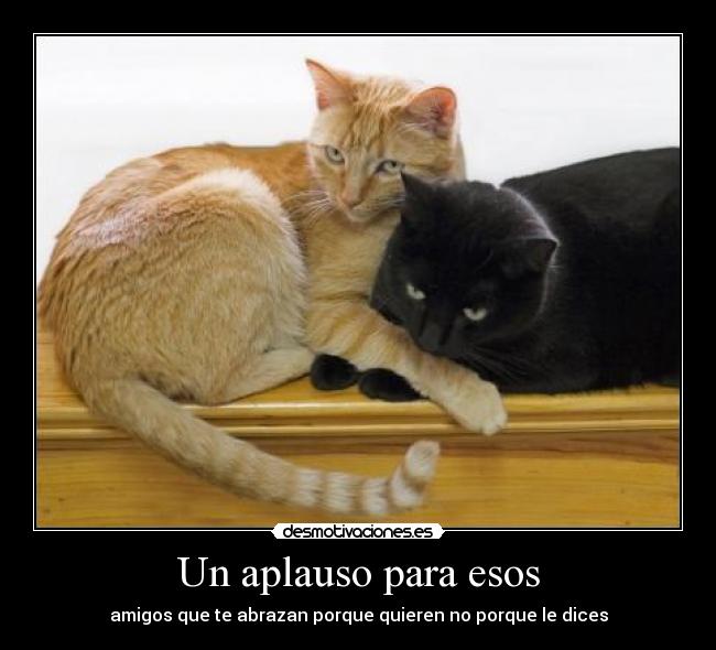 Un aplauso para esos - 