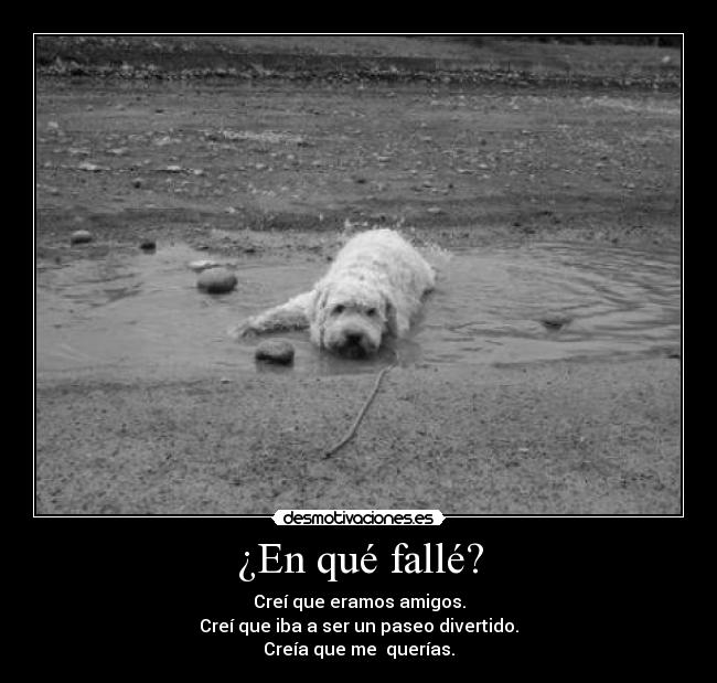 ¿En qué fallé? - 