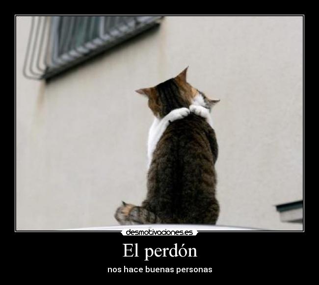 El perdón - 