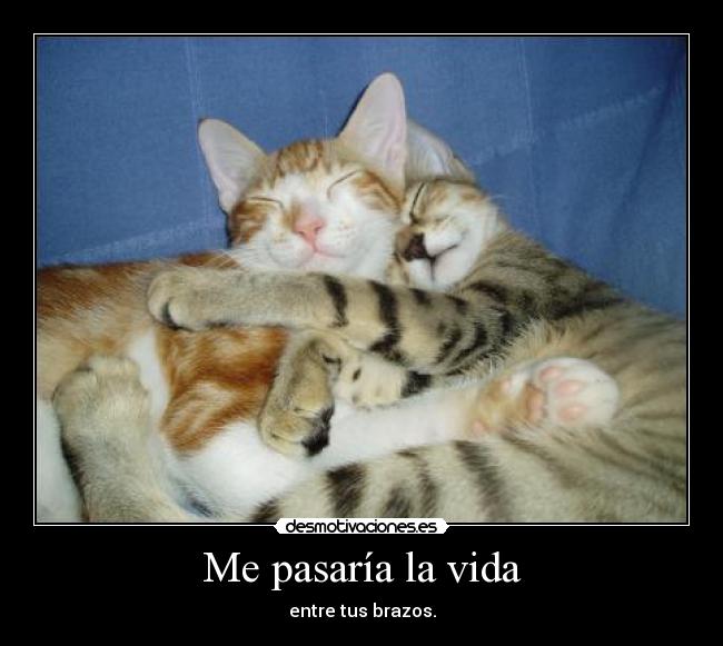 Me pasaría la vida - entre tus brazos.