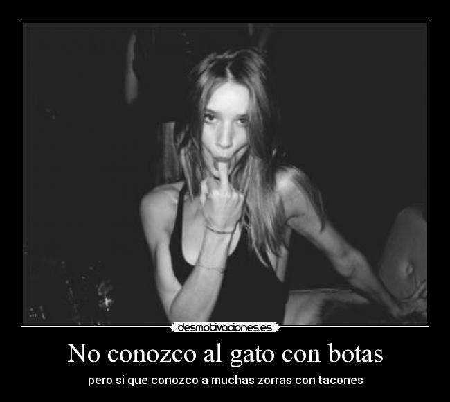 No conozco al gato con botas - 