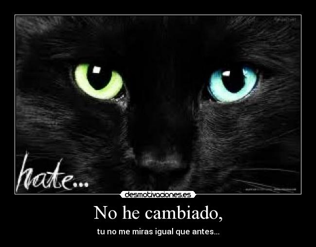 No he cambiado, -
