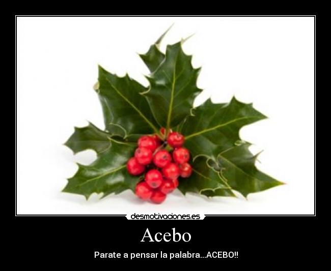 carteles praderaul19 desmotivaciones