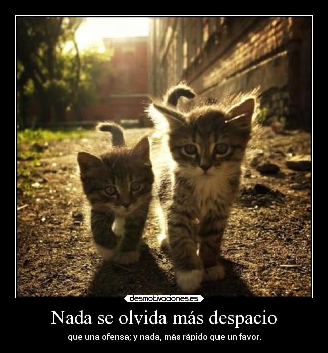 Nada se olvida más despacio - 