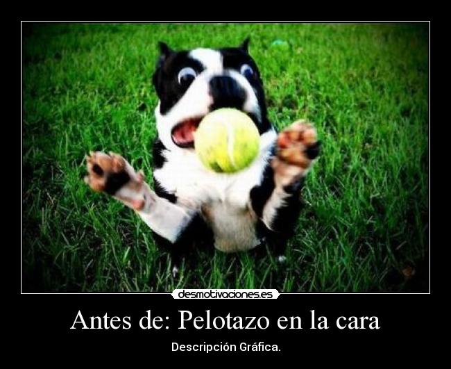 Antes de: Pelotazo en la cara - Descripción Gráfica.