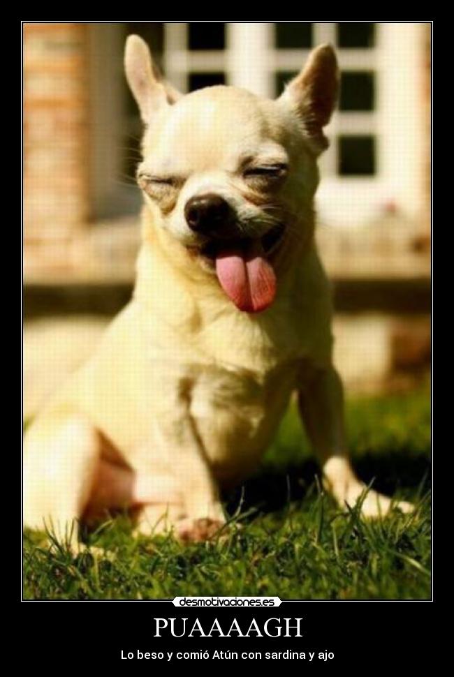 carteles puuaaagh desmotivaciones