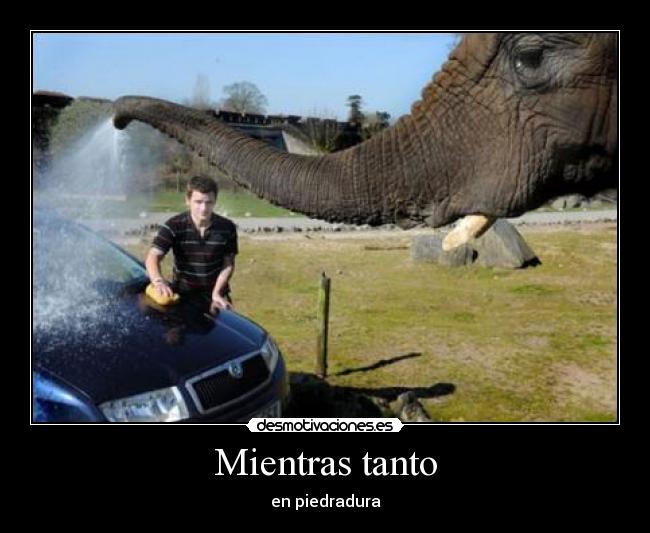 Mientras tanto - en piedradura