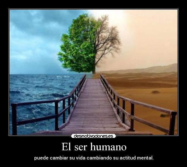 El ser humano -