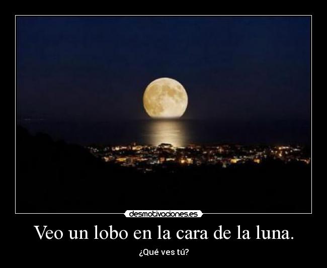 carteles siempre querido preguntar esto desmo desmotivaciones