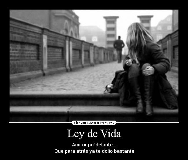 Ley de Vida -