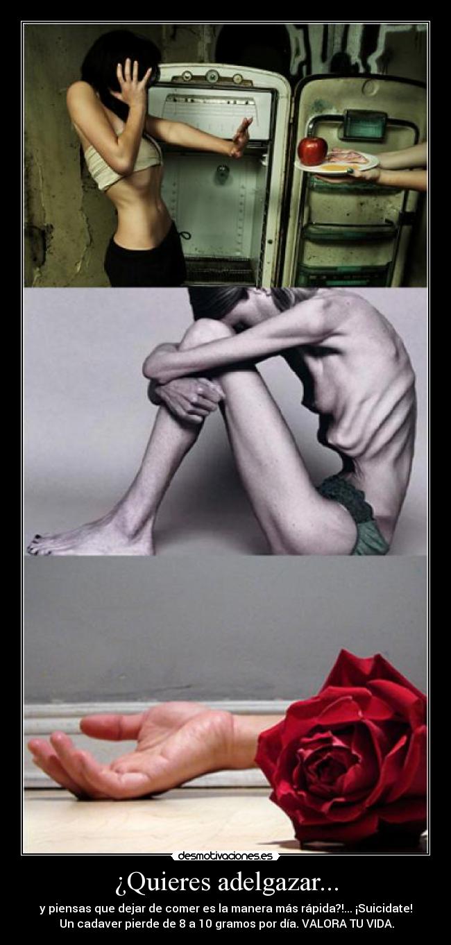 ¿Quieres adelgazar... -
