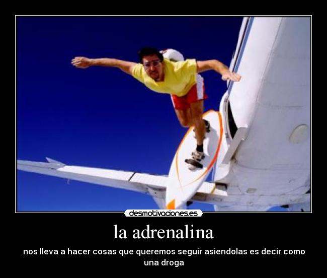 la adrenalina - nos lleva a hacer cosas que queremos seguir asiendolas es decir como una droga