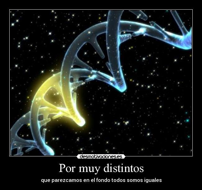Por muy distintos - que parezcamos en el fondo todos somos iguales