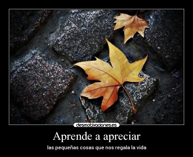 Aprende a apreciar - 