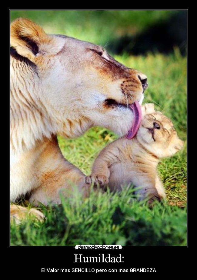 Humildad: -