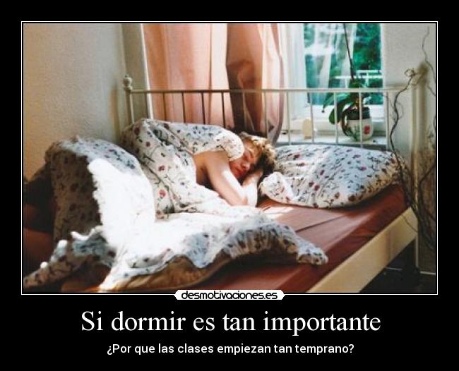 Si dormir es tan importante -