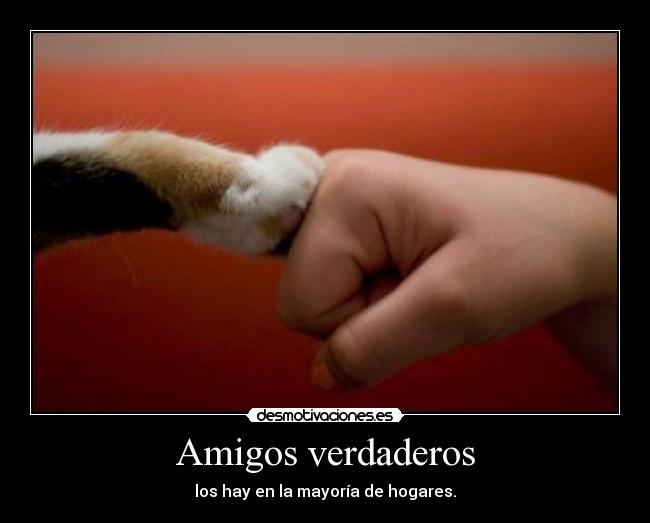 Amigos verdaderos - 