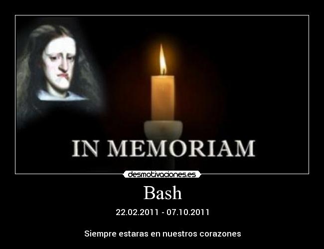 Bash - 22.02.2011 - 07.10.2011
Siempre estaras en nuestros corazones