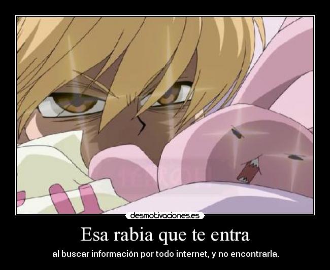 Esa rabia que te entra - al buscar información por todo internet, y no encontrarla.