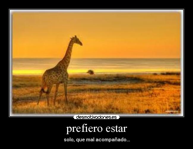 carteles soledad desmotivaciones