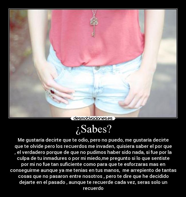 ¿Sabes? - Me gustaría decirte que te odio, pero no puedo, me gustaría decirte
que te olvide pero los recuerdos me invaden, quisiera saber el por que
, el verdadero porque de que no pudimos haber sido nada, si fue por la
culpa de tu inmadures o por mi miedo,me pregunto si lo que sentiste
por mi no fue tan suficiente como para que te esforzaras mas en
conseguirme aunque ya me tenias en tus manos, me arrepiento de tantas
cosas que no pasaron entre nosotros , pero te dire que he decidido
dejarte en el pasado , aunque te recuerde cada vez, seras solo un
recuerdo