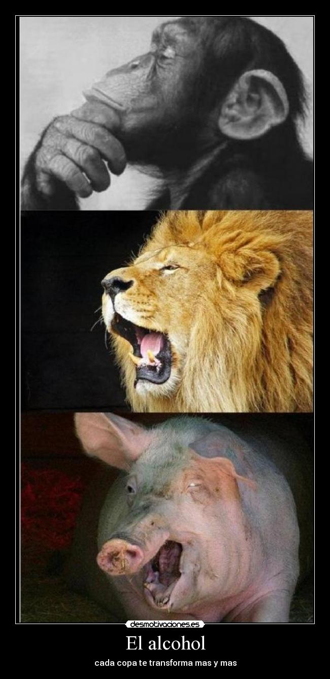 carteles alcohol desmotivaciones