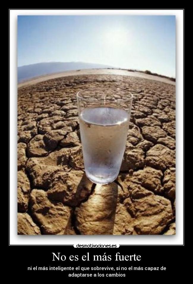 No es el más fuerte - ni el más inteligente el que sobrevive, si no el más capaz de adaptarse a los cambios