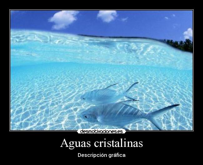 Aguas cristalinas - 