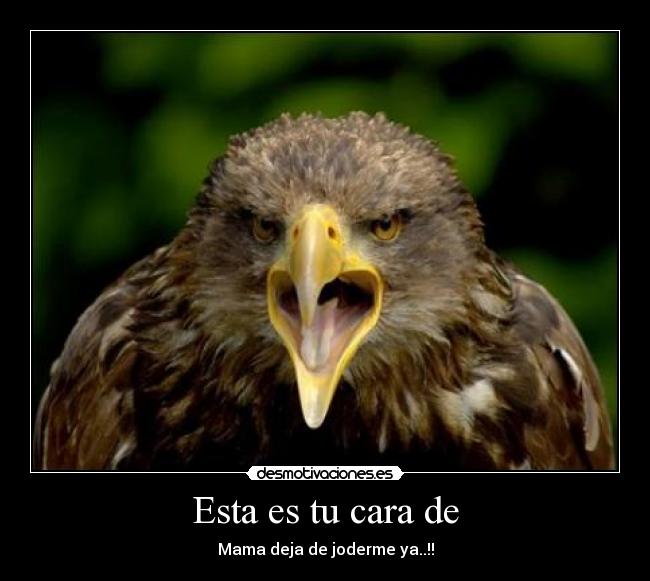 Esta es tu cara de -