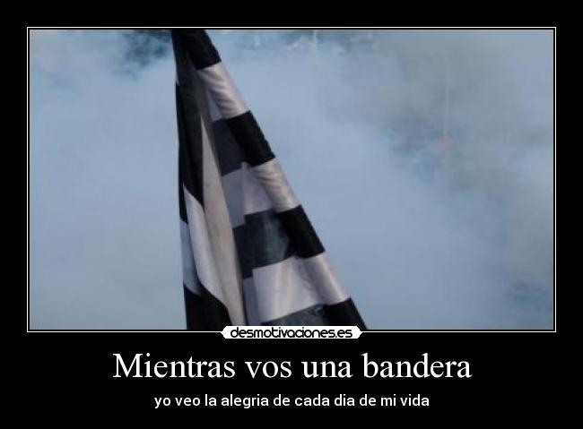 Mientras vos una bandera - yo veo la alegria de cada dia de mi vida
