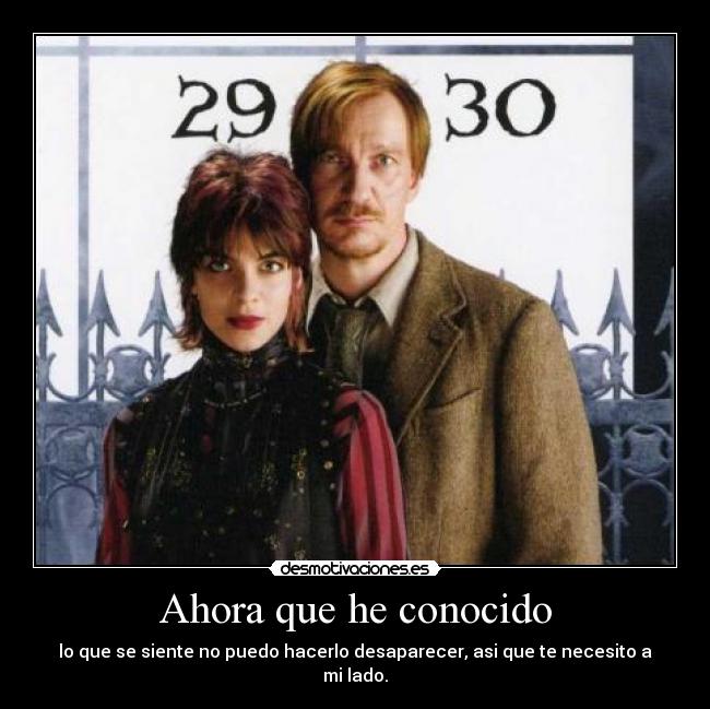 Ahora que he conocido - lo que se siente no puedo hacerlo desaparecer, asi que te necesito a mi lado.