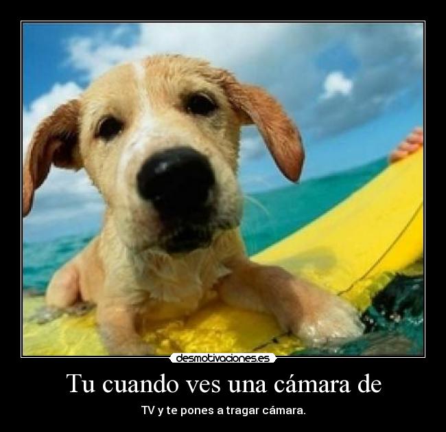 Tu cuando ves una cámara de - TV y te pones a tragar cámara.