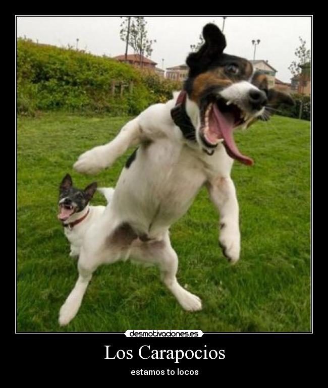 Los Carapocios - estamos to locos
