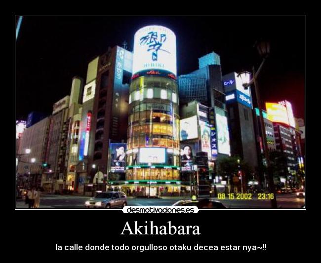 Akihabara - la calle donde todo orgulloso otaku decea estar nya~!!