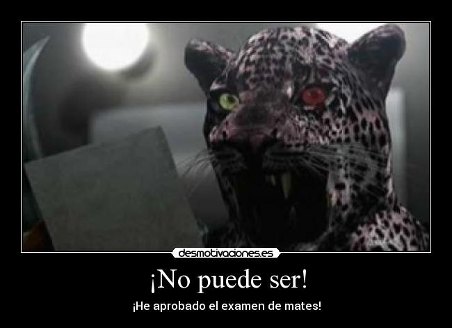 carteles boloman desmotivaciones