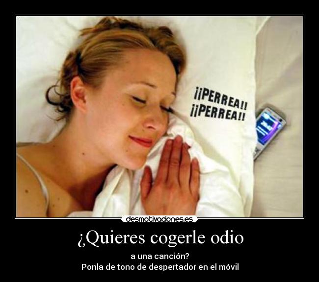 ¿Quieres cogerle odio - 