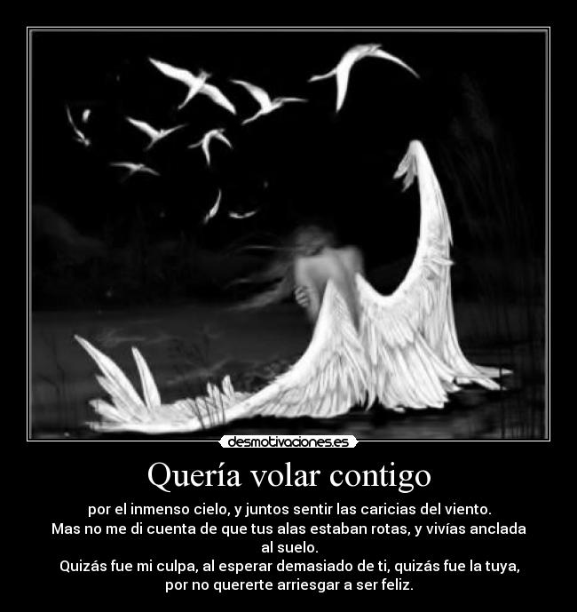 Quería volar contigo - 