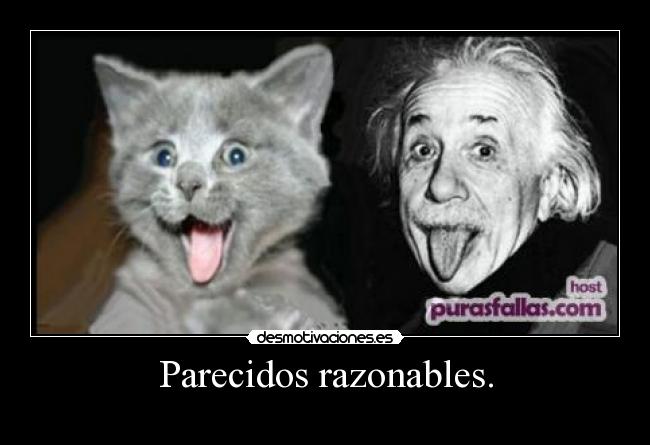 Parecidos razonables. - 