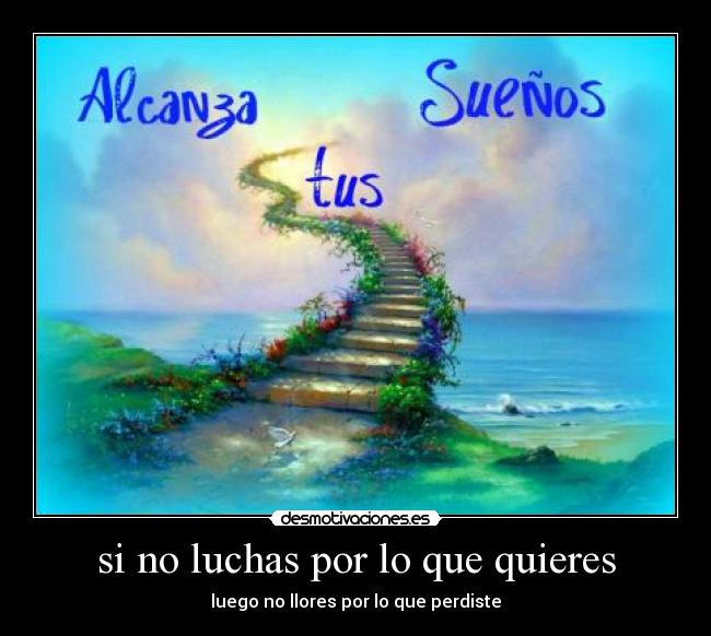 carteles suenos luchar pediste perder desmotivaciones